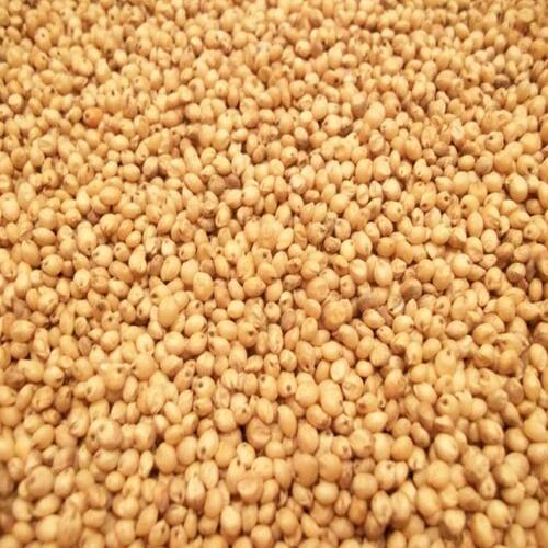 Chemical Free Long Shelf Life Natural Taste Dried Sorghum Seeds