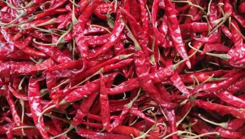 Red Chilli - 100% Pure & Clean, Strong Pungency, Raw Processing, Spicy Taste, Available With/Without Stem