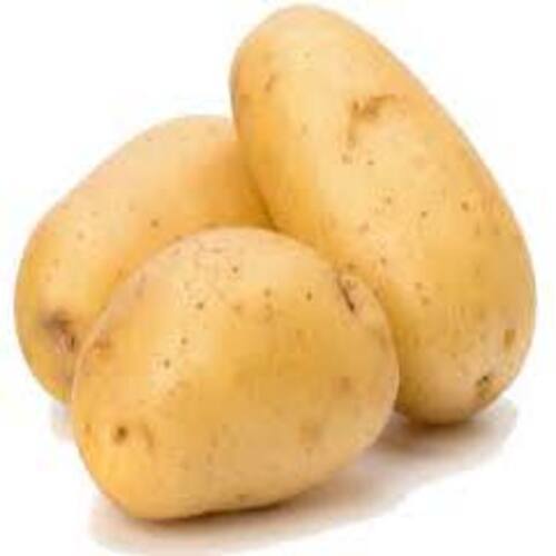 Fresh Potato - Brown, Round & Oval | Natural Taste, Chemical Free, Safe Packaging, Ideal for Cooking and Human Consumption