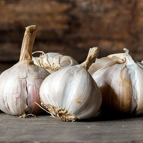 Natural White Fresh Garlic Used In Cooking(For Enhance Taste)