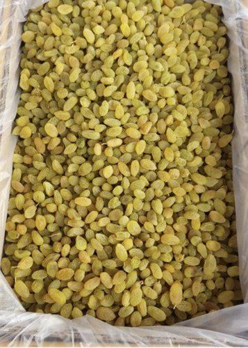 Wholesale Price Export Quality Natural Dried Organic Sweet Golden Green Raisins, 1Kg