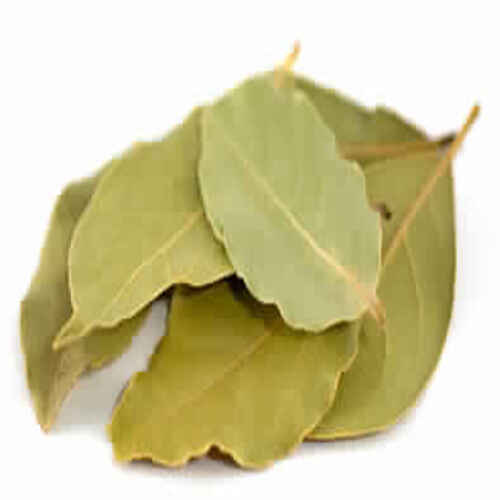 Leaf Chemical Free Nice Fragrance Rich Natural Taste Green Dried Bay Leaves