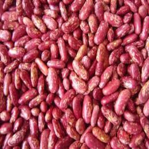 Chemical Free No Artificial Color Natural Taste Dried Red Speckled Kidney Beans Origin: India