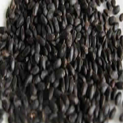 Natural Rich Fine Taste Chemical Free Healthy Dried Black Basil Seed