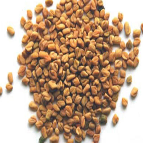 No Artificial Color Chemical Free Natural Rich Taste Dried Yellow Fenugreek Seeds