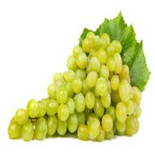 No Artificial Color Rich Sweet Delicious Taste Green Fresh Grapes