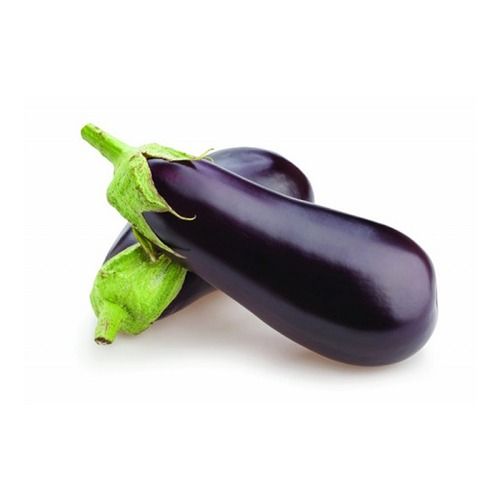 A Grade And Indian Origin Organic Brinjal With High Nutritious Value