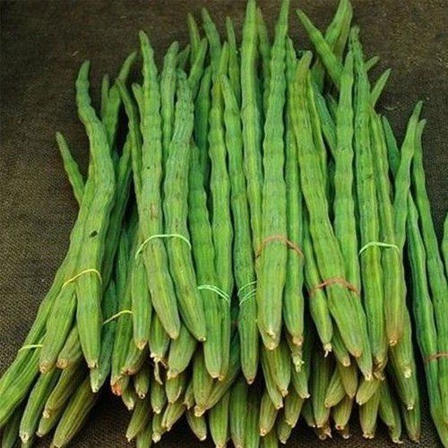 A Grade Pure And Natural Green Drumstick With High Nutritious Value Preserving Compound: Room Temperature