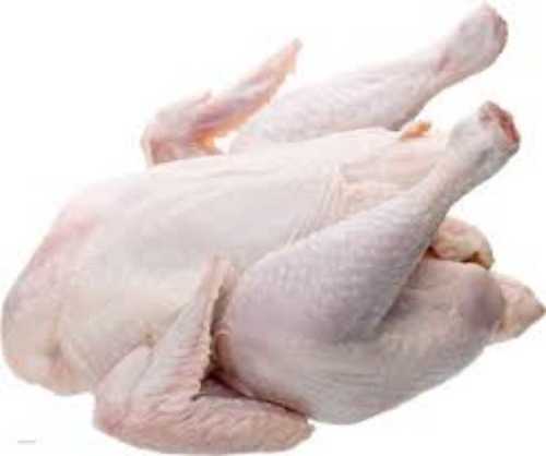 Natural High In Protein Frozen Chicken For Cooking, Restaurant, Hotel, Home, Etc