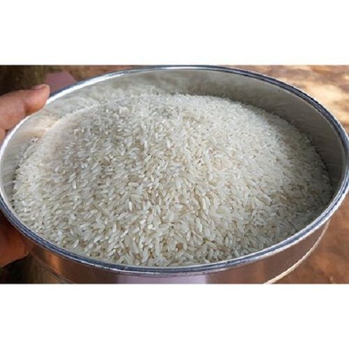 Medium Grain Dried Style 99% Purity Fresh And Organic Non White Basmati Rice Admixture (%): 12%