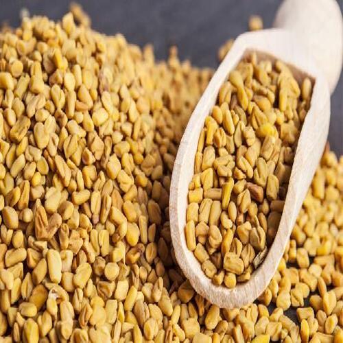 White No Artificial Color Chemical Free Natural Rich Taste Dried Yellow Fenugreek Seeds