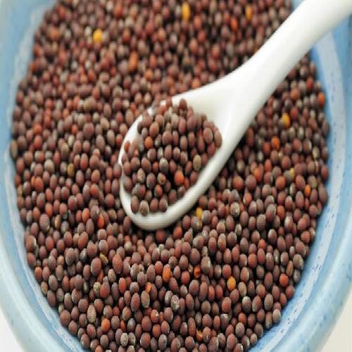 Brown No Artificial Color Natural Rich Fine Taste Chemical Free Mustard Seeds