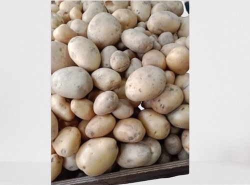 A Grade Pukhraj Seed Potatoes 1 Kg With 4.5 to 8.5% Moisture And 1 Months Shelf Life