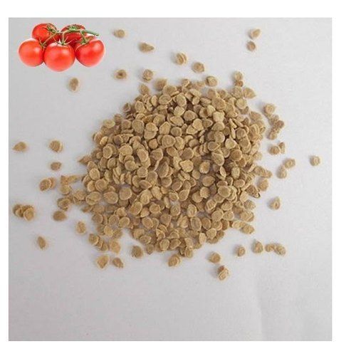 Brown A Grade Pure And Organic Dried Hybrid Tomato Seed For Cultivation