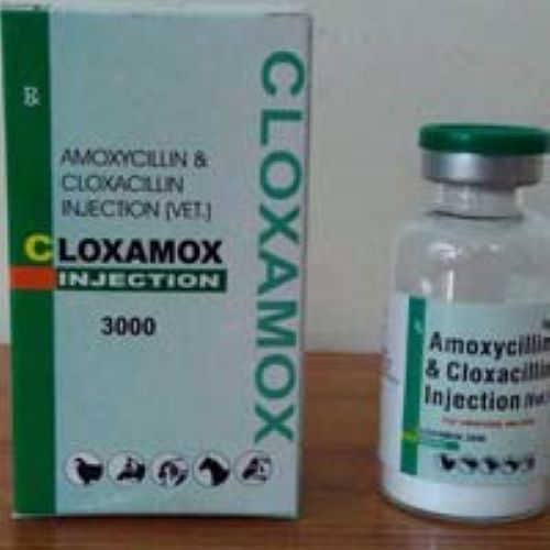 Albendazole Injection