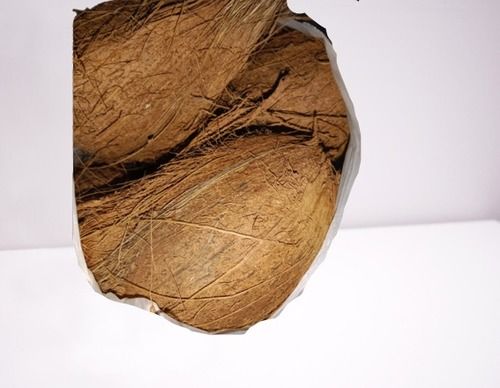 Brown Color Natural Dehydrated Coconut 1 Kg With 7 Inch Size And Oval Shape