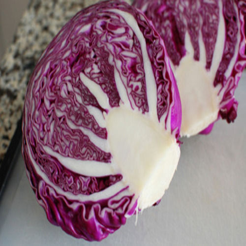 Floury Texture Healthy Rich Natural Fine Taste Fresh Red Cabbage