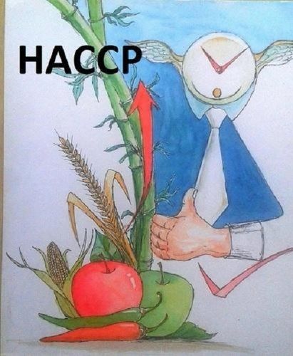 HACCP ISO 22000 Consultant Service