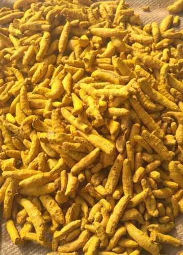 Yellow Natural Turmeric Finger For Food Spices With 12 Months Shelf Life