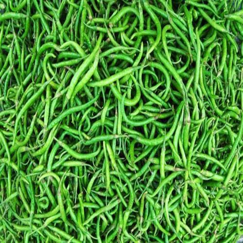 Spicy Natural Taste Chemical Free No Artificial Color Fresh Green Chilli