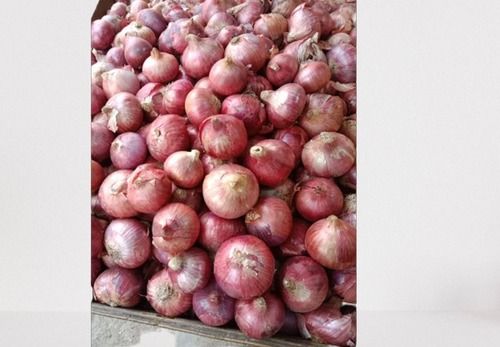 A Grade Pink Summer Onion 1 Kg With Size 50mm And Round Shape, 1 Week Shelf Life