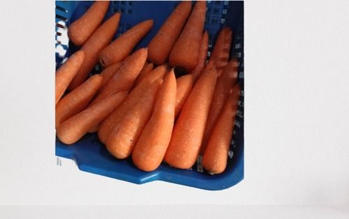 Cooked Fresh Carrot 1 Kg With 1 Week Shelf Life And 2% Moisture, Red Color