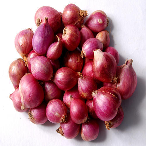 No Artificial Color Chemical Free Organic Light Pink Fresh Small Onion