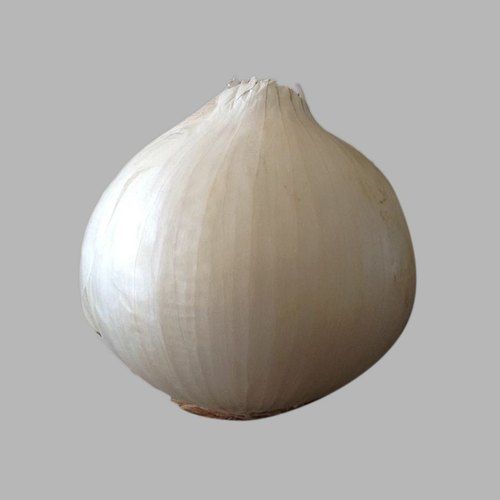 Premium And High Source Of Dietary Fiber Fresh And Raw White Onion With Rich In Nutrients