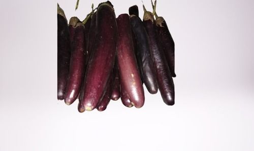 Cooked Purple Color Natural Fresh Brinjal 1 Kg With Long Size And 1 Week Shelf Life, 2% Moisture