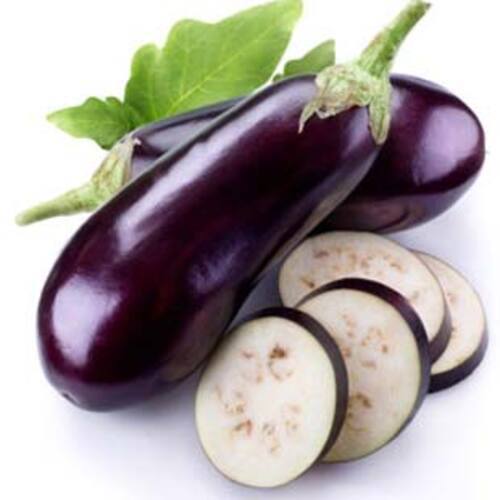 Chemical Free Healthy Delicious Natural Rich Fine Taste Purple Fresh Brinjal