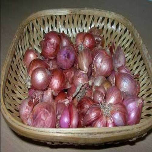 Enhance The Flavor Rich Healthy Natural Taste Red Fresh Sambar Onion