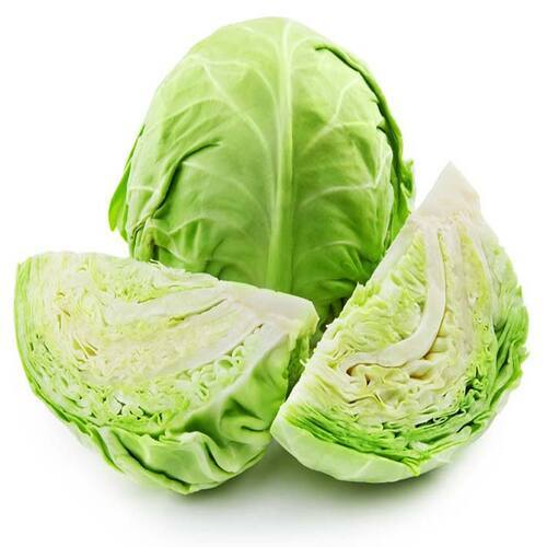 Floury Texture Healthy Rich Natural Fine Taste Green Fresh Cabbage