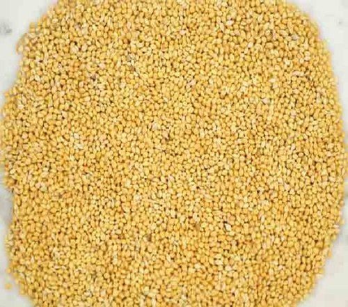 Healthy And Tasty Premium And Super Quality Foxtail Millet Enriched With Nutrients