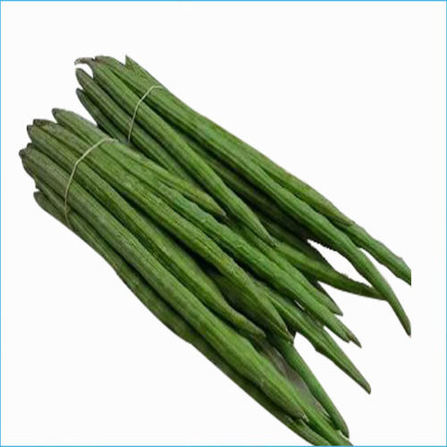 Maturity 100 Percent High Fiber No Artificial Color Healthy Natural Rich Taste Green Organic Fresh Drumsticks