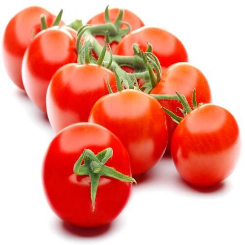 Fresh Tomato - Round & Oval, Solid Red | Naturally Mild Flavor, Chemical Free, Safe Packaging, Ideal for Cooking and Salads