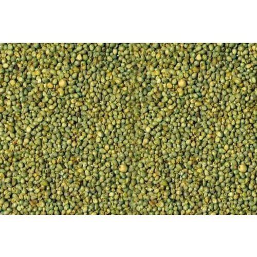 Premium And Rich In Magnesium Green Bajra Millet Enriched With Nutrients