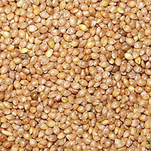 Premium Brown Barnyard Millet Enriched With Nutrients And Good Source Of Fiber Crop Year: 6 Months