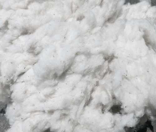 Raw Waste Cotton