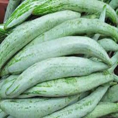 Rich Natural Fine Taste Chemical Free Healthy Green Fresh Snake Gourds