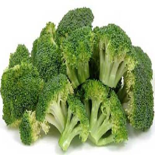 Rich Natural Taste Chemical Free Healthy To Eat Green Fresh Broccoli