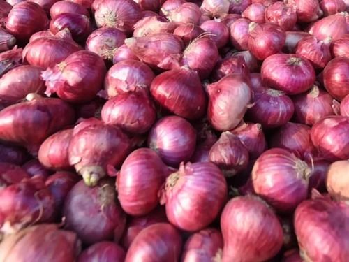 Round A Grade 100% Pure And Natural Organically Grown Vitamin A Rich Red Onion