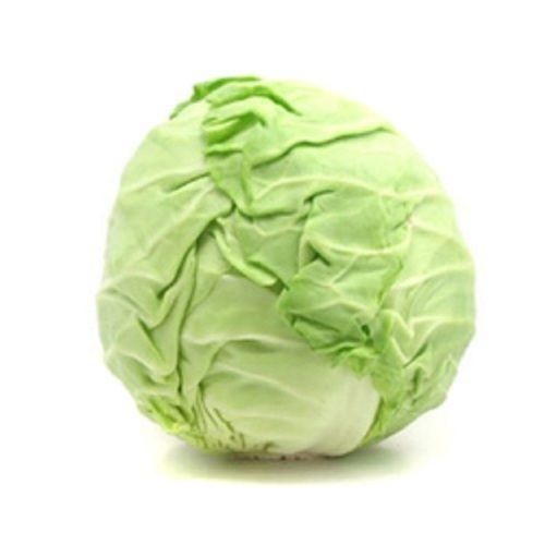 Farm Fresh Pure And Organic Whitish Green Colour Nutrients Rich Cabbage
