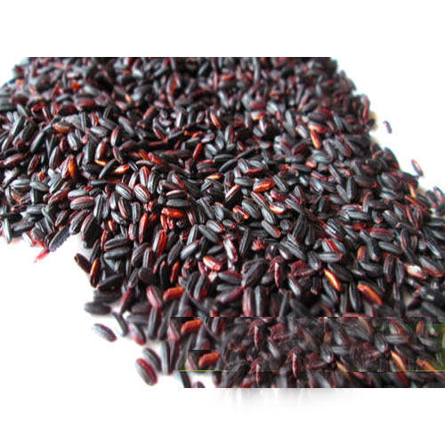 Fresh Indian Organic Black Rice With Medium Grains And 12 Months Shelf Life