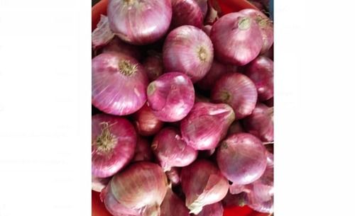 Good For Health Pesticide Free 100% Organic Medium Size Red Onions (40-69 Mm)