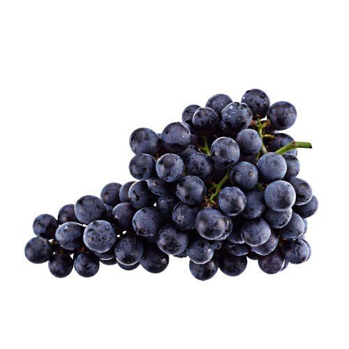 Common Indian Origin And Nutrients Rich Black Color Grapes 