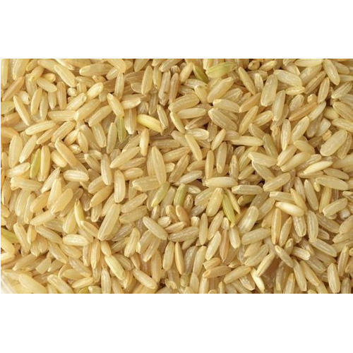 Medium Grains Natural Fresh Brown Rice With 12 Months Shelf Life And 1% Broken