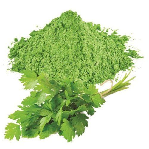 Green Natural Dried 99% Coriander Leaf Powder Used In Cooking