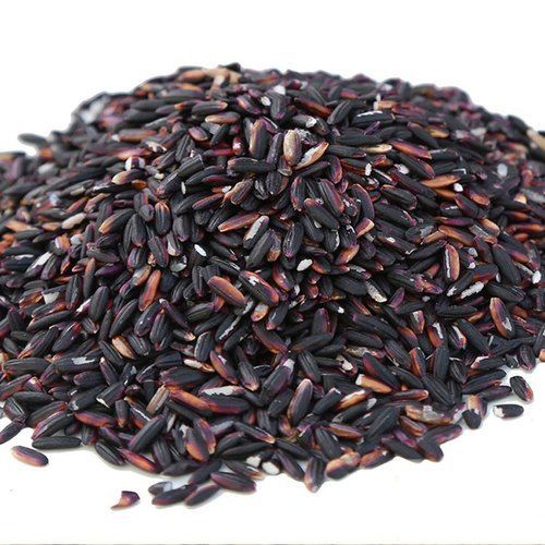 Natural Fresh Black Rice With Medium Grains And 12 Months Shelf Life And 1% Broken