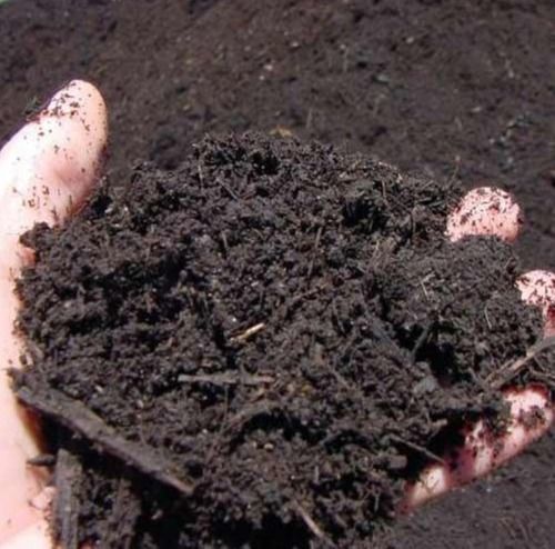 Black Pure Bio Organic Manure Agriculture Vermicompost, 1Kg Pack For Used In All Types Agro Crops