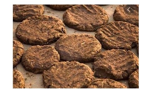 Brown Pure Cow Dunk Cake Agriculture Manure Soil Fertilizer, 1Kg Pack, For Agriculture And Gardening